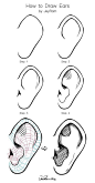 绘画参考素材  耳朵的画法 ​​​​