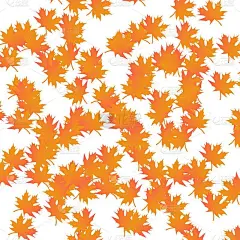 枫叶背景图标的颜色。加拿大秋叶元素插图。手绘素描风格。孤立的迹象。流行的平面风格的应用程序，图形设计