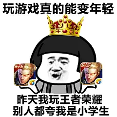 王者荣耀2 表情包