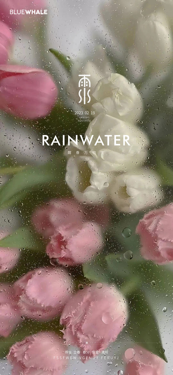 雨水节气稿微信刷屏海报-源文件