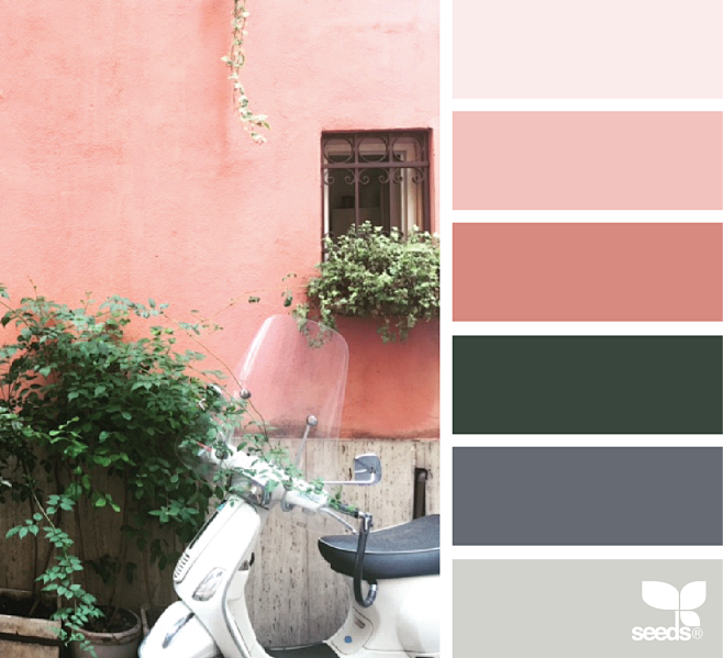 { color view }