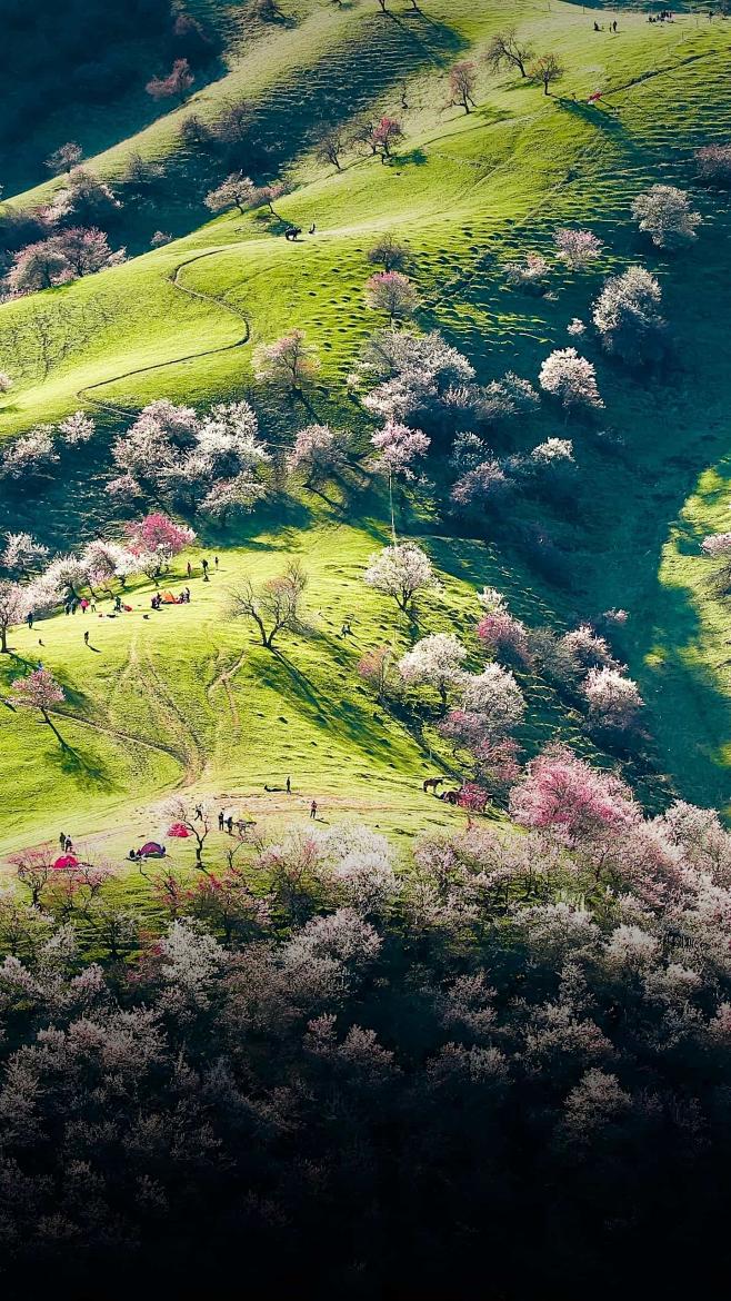 成为新疆著名的旅游观光度假区那拉提景区是国家5a级旅游风景区是新