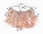 2019年「Couture Design Awards」珠宝设计奖揭晓后，亚美尼亚珠宝商Mike Joseph 凭借粉色羽毛衬底的Flamingo 项圈 获得今年的「最佳高级珠宝奖」 ，意大利品牌Gismondi 1754 的 Essenza 宝石流苏项链 搭配水滴形钻石和祖母绿，最终获得「公众选择奖」 。

「Flamingo」项圈是今年最具浪漫风格的作品之一，呈现戏服配饰一般华丽的视觉效果。整枚项圈采用半开放结构，下方以浅粉色羽毛 为衬底，上方以钻石 勾勒出自然延展的流线，末端则点缀圆润的珍珠与水滴形