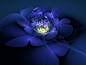 A blue one by Theli-at