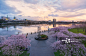 Cherry Blossom in Portland, Oregon创意图片素材 - Moment