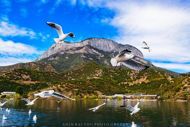 泸沽湖_风景_POCO摄影,我要上封面