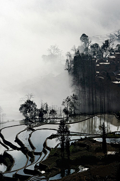 缺角的冰采集到场景