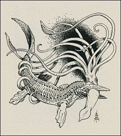 0nenew采集到A-钢笔画