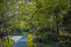 蜩-采集到大区-道路