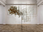 NOWs: Tempus circularis Fagus sylvatica by Rune Bosse | Institut für Raumexperimente : NOWs:
  
    
      
        ...