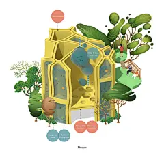 #灵感的诞生#英国华裔设计师Jing Zhang创作了一组2.5D等距视角插画信息化图表的呈现方式和清新的配色，让画面信息更加清晰直观，很值得借鉴啦~ ​​​​