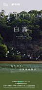 白露海报