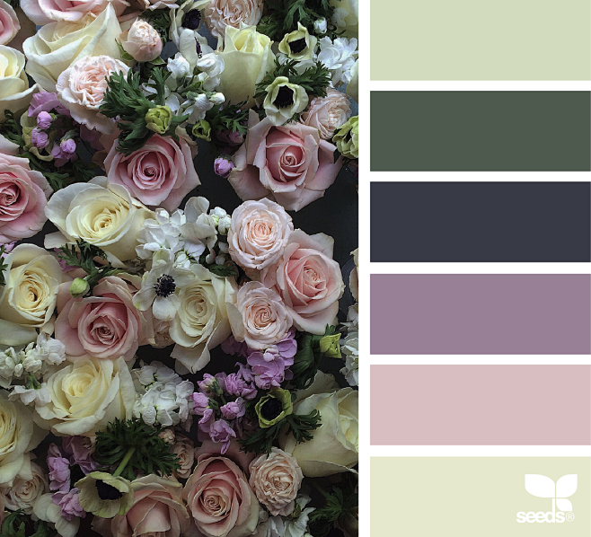 flora palette