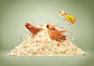 Bring Out the Chicken : Print campaign for Knorr cubes chicken flavour.Just a creative way show one of the qualities of the product.  