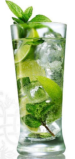 Best Mojito Recipes ...