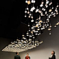 Dispersion I.Rain - OLED Light - Blackbody