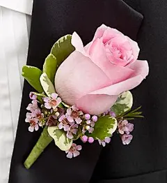 Pink Boutonniere :: A charming pink rose, pink waxflower and variegated pittosporum creates an elegant boutonniere for the groom, ushers, fathers, grandfathers, or treasured relatives. 15.00