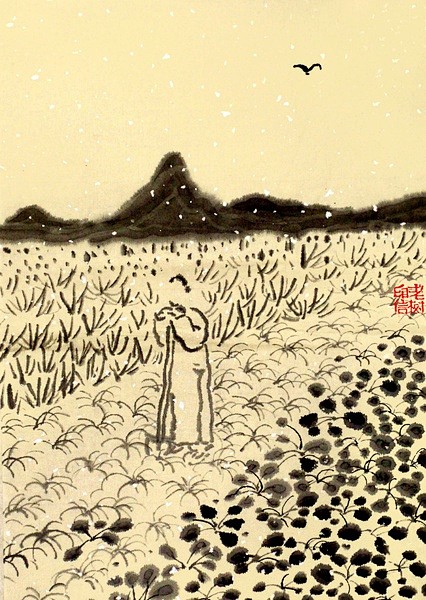 @老树画画 （新浪微博）