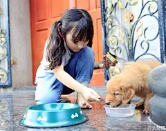 亲爱的小小孩，生日快乐！
今天家里多了新成员——小茉莉 ​​​​