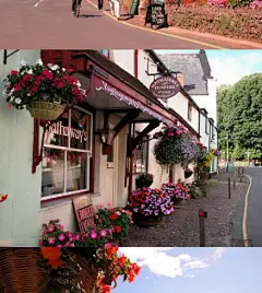 【英国 Dunster】花园般的英格兰古镇，在这里喝杯咖啡，翻一本书，悠闲的沐浴在阳光里，生活就是如此惬意。