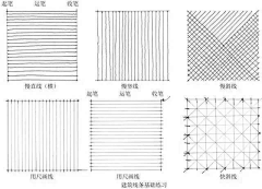 大马驴采集到手绘