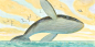 illustrations for the book "Small Whale"