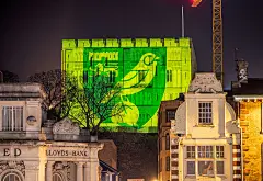 crest football logo norwich city fc Premier League soccer sports
