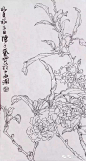 从白描到创作———陈子奋花鸟画合集