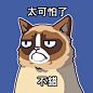 我在史上最差的不爽貓遊戲中#grumpycat http://grumpy.cat/GCWorstGameEver獲得了90