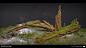 God of War Ragnarok - Vanaheim Assets