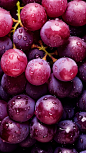 resh_grape_seamless_background_adorned_with_glistening_dropl_4448a55e-24c2-4545-bc7c-24126feb210b