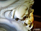 【玉器】2012北京天工奖获奖的玛瑙雕刻作…@北坤人素材
