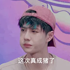 这次真成猪了 王一博表情包