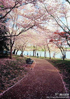 畵❀下采集到畵❀下の花下成诗