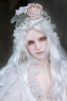 吉尔塞斯布布小姐采集到doll