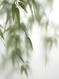 热衷嗎采集到本地生活