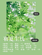微博搜索