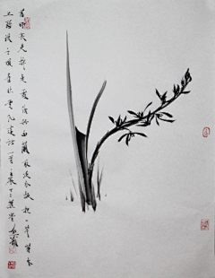 关今采集到竹