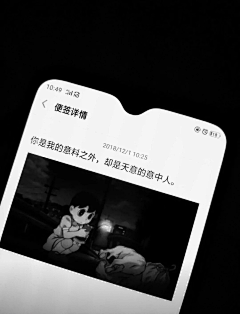 西野信平采集到图文