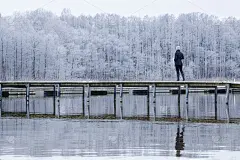 年轻的成年女子独自走在湖上的人行桥上，凝视着白雪覆盖的树木。水解冻。寒冷的早晨。宁静的自然氛围。在冬