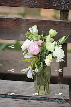 绿色 春意 美丽的花朵 自然 意境 花壁纸 花瓶 花卉 意境