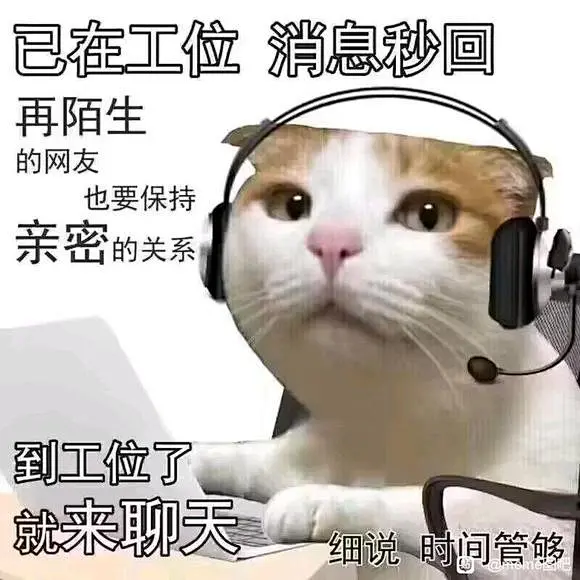 有无这种猫meme_meme图吧_百度贴吧-花瓣网
