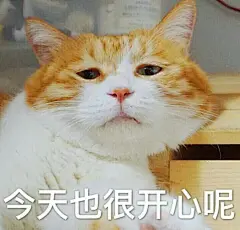 最好看的橘猫长什么样？ - 知乎 : 猫日啊瞧瞧这张忧国忧民的大饼脸，啧啧，多惹人怜爱啊！昨天刚知道它的名字，行走的表情包猫猫。微博热搜…