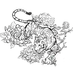 ᴜᴍᴇ1采集到插画风格