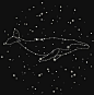 a whale in the sky with stars on it's back and its tail pointing upward