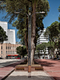 城市更新：马歇尔·德奥多罗广场设计 / Sotero Arquitetos – mooool木藕设计网