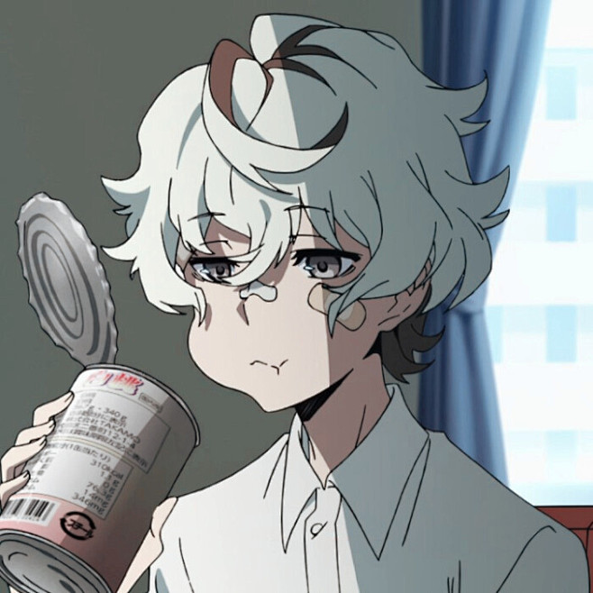 羁绊者阿形胜平