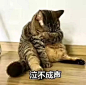 来自分享