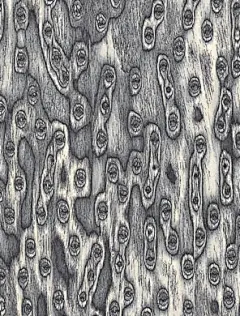 材质 纹理 瓷砖 地砖 石头 贴图 底纹 布纹 渲染材质 3dmax C4D keshot 3d材质 无缝贴图 背景 纸张 节日 复古 纹理 高清图片 肌理 花纹 图形 抽象 木纹 木板 花边 传统 线条 植物 底纹 粗糙 经典 动物 材质 潮流 木质 运动 质感 地板 圣诞节 卡通 圆点 节日 图案 年轮 边框 图标 墙面 条纹 高清 牛仔裤 背景纹理 怀旧 木材 纹样 凹凸 板子 布纹 木头 服装 织纹 布料 风景 锈迹 雕花 雕刻 针织纹理 生活 地面 壁纸 铁皮 黑色 艺术 棕色 石子 木桩 数字