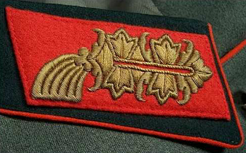 这是42年之前的德军陆军元帅领章与将军级别的领章完全一样红色衬底